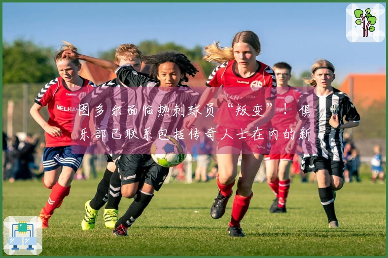 图多尔面临热刺球员“叛变”！俱乐部已联系包括传奇人士在内的新教练候选人